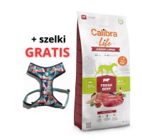 3061-calibra-dog-life-junior-large-fresh-beef-12kg.jpg