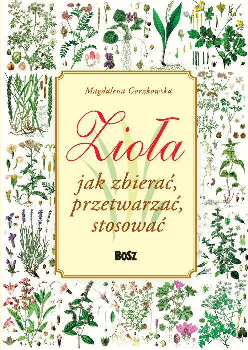 Magdalena Gorzkowska. Zioła. Jak zbierać, przetwarzać, stosować