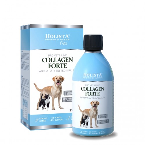 Holista Collagen Forte 250 ml