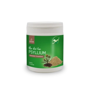 Pokusa Babka Płesznik (Psyllium) 100 g