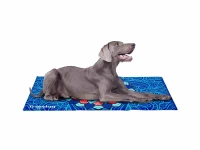 Freedog Legowisko chłodzące dla psa  Eco Coll Bed Mandala niebieskie. Piękne kolory czynią akcesorium bardzo wyrazistym. Ochłodzenie w letni dzień.
