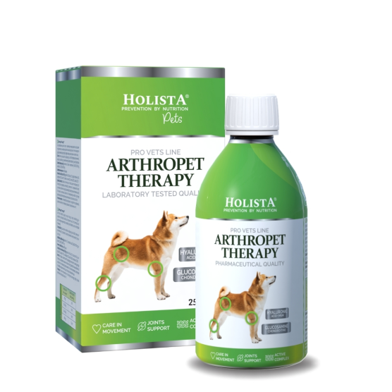 HOLISTA Syrop na stawy dla psa i kota ArthroPet Theraphy 250 ml