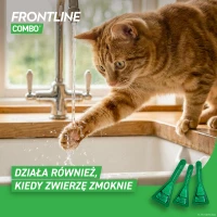 FRONTLINE Combo® dla kotów do zwalczania pcheł i kleszczy_6