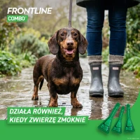 FRONTLINE Combo® na pchły i kleszcze dla psów