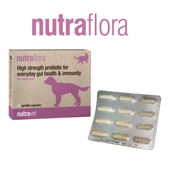 AZAN Nutraflora Tabletki Probiotyk dla psów i kotów 12 kaps.