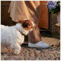 charms-big-daisy-id-tag (2).jpg