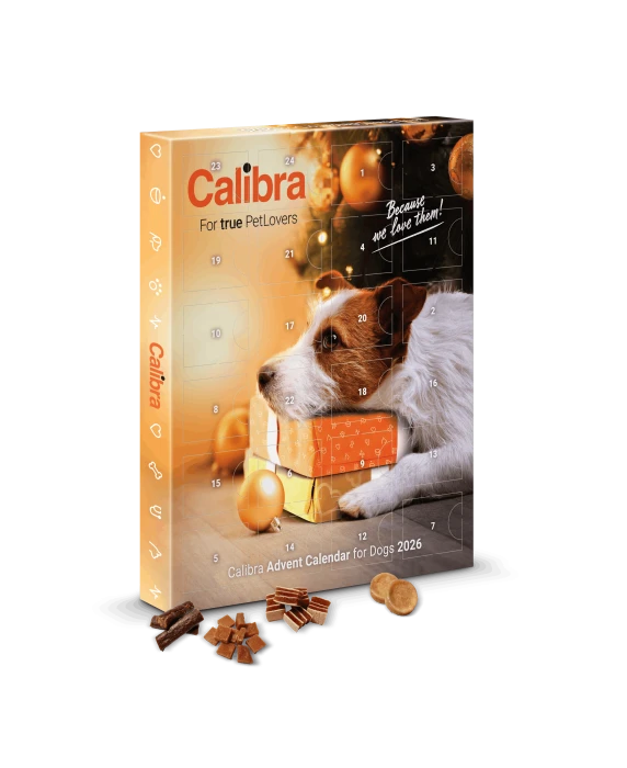 CALIBRA Kalendarz adwentowy dla psa