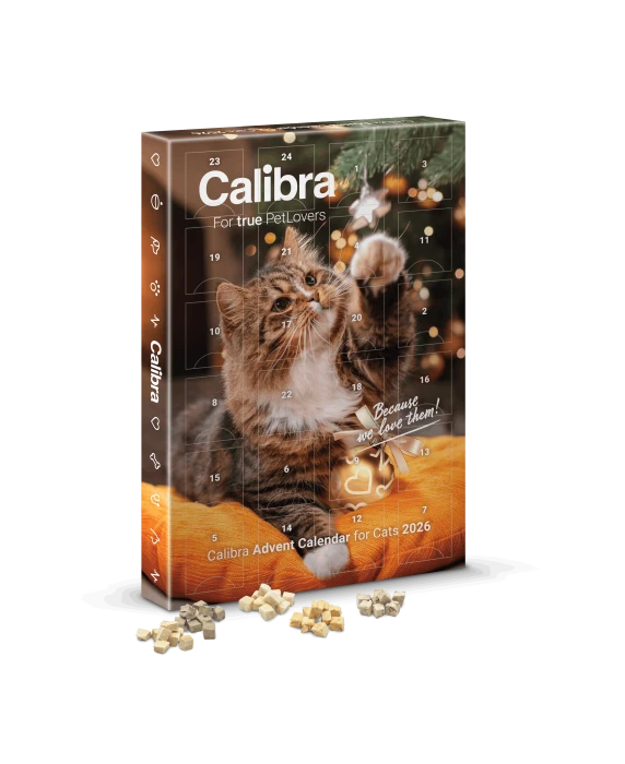CALIBRA-Kalendarz adwentowy dla kota