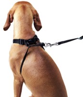 Hunter Szelki treningowe Side By Side