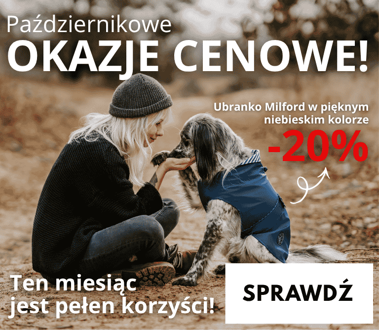 Październikowe okazje