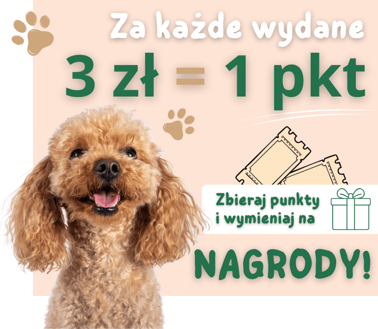 Program lojalnościowy