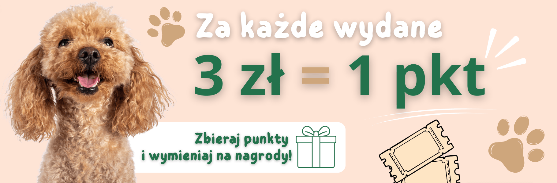 Program lojalnościowy