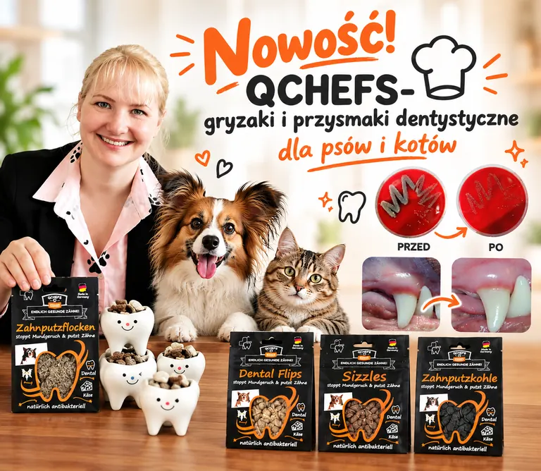 Nowość - Qchefs