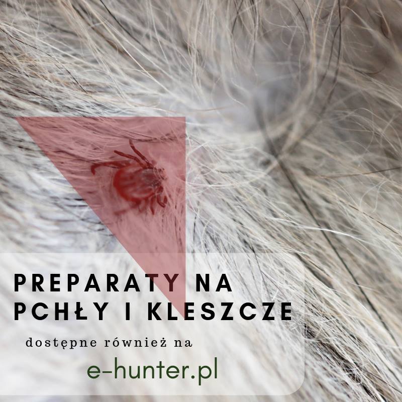Kleszcze atakują!